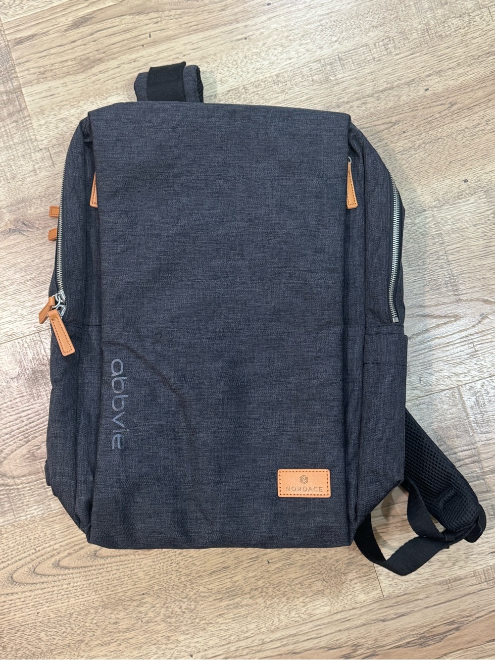 Nordace Black Men's Everyday smart Travel Backpack